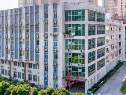 双原理元素分析仪