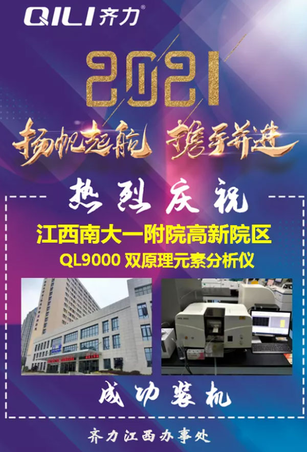 双原理元素分析仪