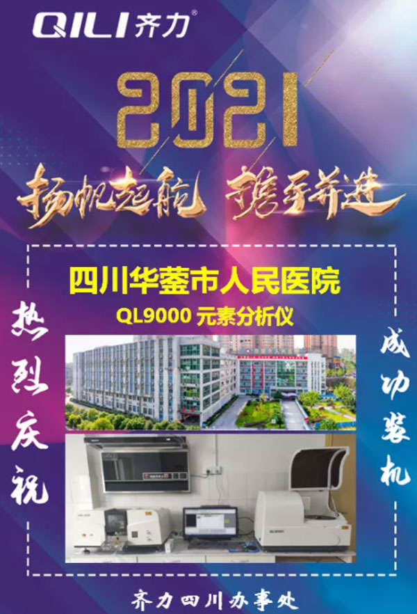 双原理元素分析仪